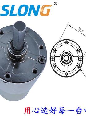 Z110A373530G有刷直流减速电机中心出轴齿轮箱1-2伏2伏4正反转马