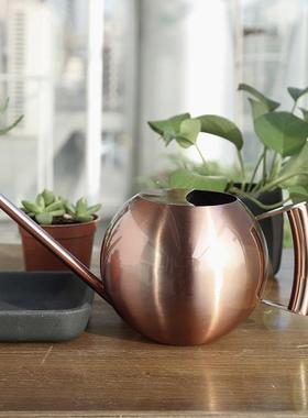 家用球形不锈壶浇花园艺长嘴钢洒水喷壶北欧FRT复古壶大号植物浇