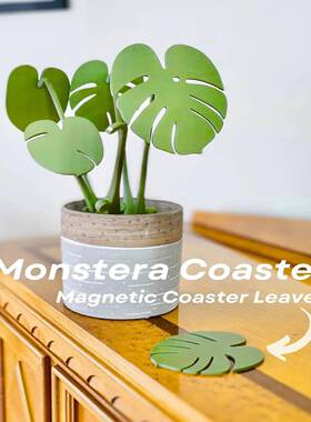 Mnteracoasterplants龟背植竹杯20240504垫s物o带磁铁的杯垫家居