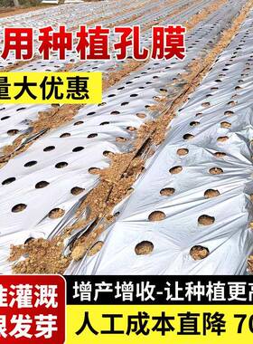打孔地农种JHY植种菜三孔圆孔膜小葱银黑色薄膜辣用椒莓种大草蒜