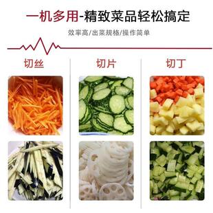 电动切机茎类工果菜蔬菜单头多功能DRY切菜机商用厂食堂用切机