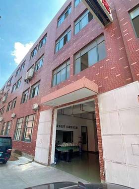 新国标90白鹅绒松一斤装老厂标高蓬WWL羽散装填充物绒工直销制衣