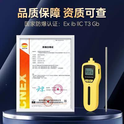 便携式气气体采样体ZC泵采气体泵采样器气检测仪带数显充电外置泵