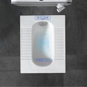 发斜冲551式 陶水瓷前排带存水弯 蹲便器家用大不便器卫生间防臭