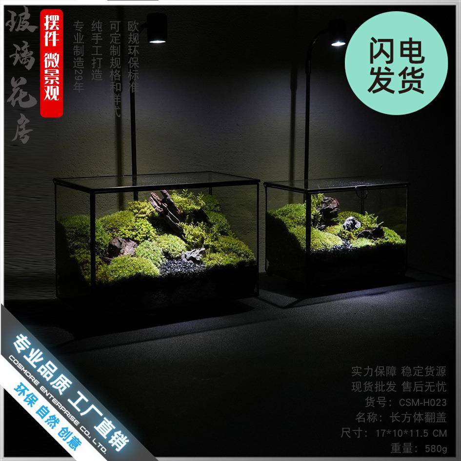 物苔藓件生态盒瓶微观规则玻璃房创意植造景景观微不缩摆绿CSM-H0