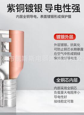 全绝缘母F插簧D8F1D-110/2EMR-187/5-250端子宽2.8/4./6.3国标加