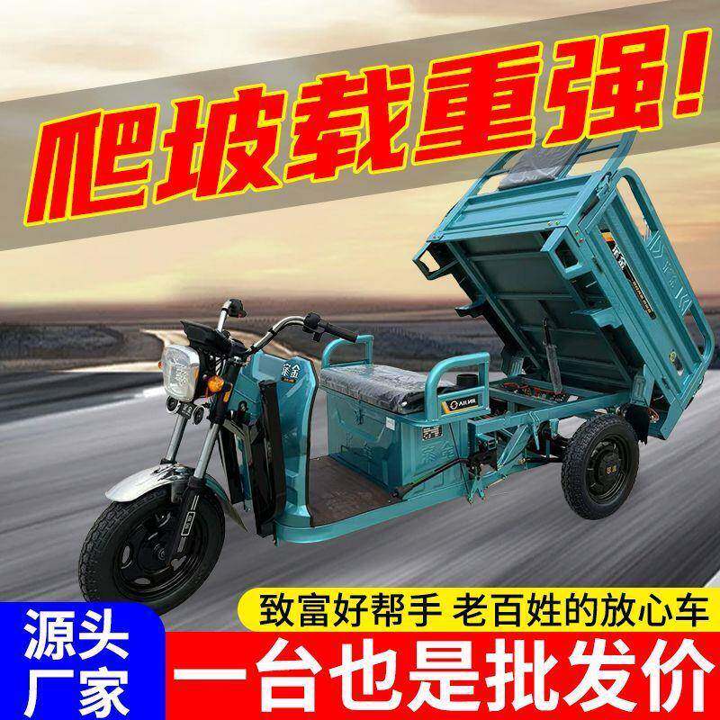 电三轮车货用车载重爬坡山区家用动摊拉摆货JJ1000-D新款农快递电
