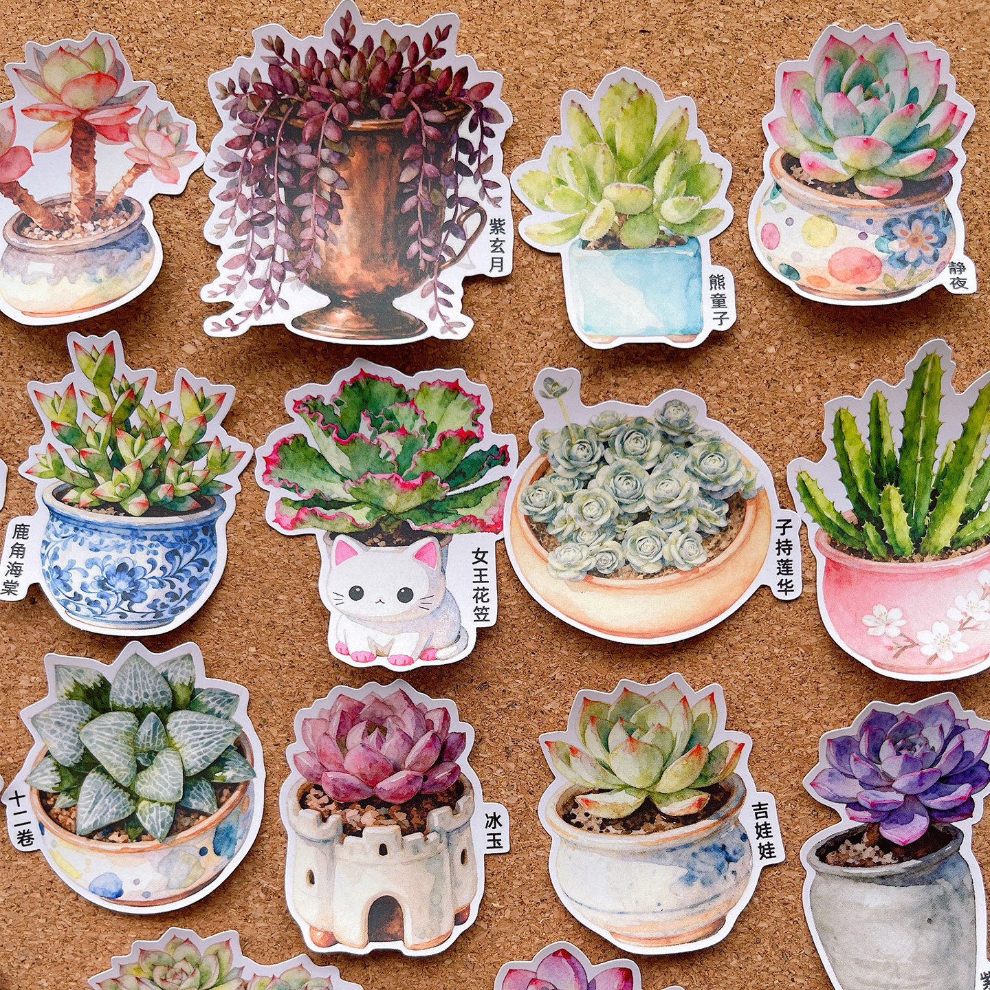 水彩多肉植物花盆盆栽图鉴手帐贴纸手工DIY神奇的植物绘本素材儿童