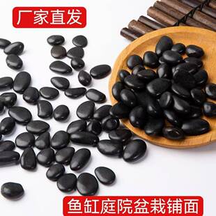 色抛光SDY小精子鹅卵石石头花盆鱼缸造景装饰黑铺石路天然圆润石