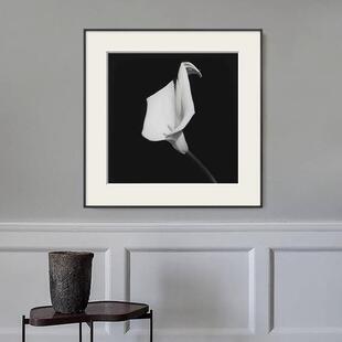 莲马蹄植黑白摄影物静物装饰画衣马蹄莲帽间简约厅样板间设计客师