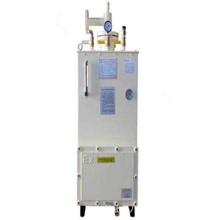 电热式气化器能5kg壁器炉液化0石油挂气器直KHP销其他节设备