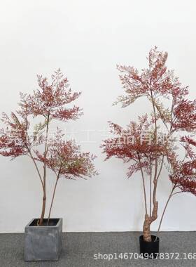 南天竹大型家真居内LL-55外落地仿绿植南天竺书房客厅窗摆橱件室