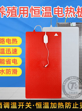 仔猪电热板兽用保温板小猪加热毯发热加温恒温养猪器械保温箱用品