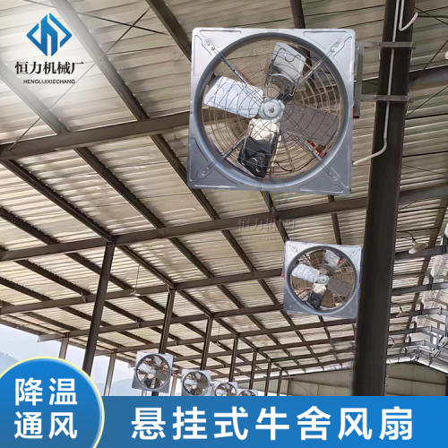 规模化奶牛场换气降温设备牛舍风扇悬挂式四叶镜Q面不锈钢牛现货