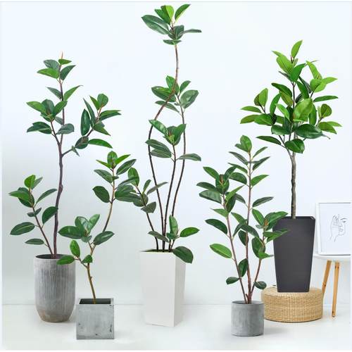 跨境绿植仿真橡皮树造景盆栽黑金刚大盆栽客厅装饰假绿植造景