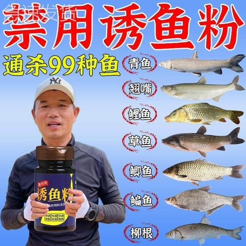 野钓专用诱鱼粉野钓青鱼鲫鱼鲤鱼草鱼翘嘴黑坑野钓鱼饵料添加剂药