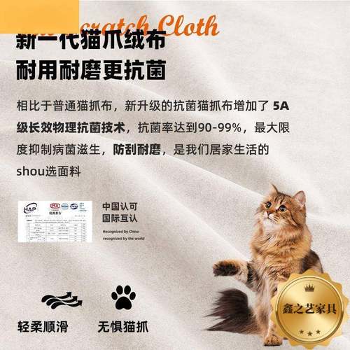 油芙床卧室现代简奶约新款带灯悬浮床出双租泡房1米8人床UDY主卧