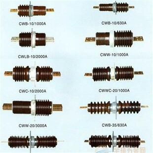 CWL-10W/厂630-2CWL-10/1W000CWWL-10/-2瓷穿墙套管家直供