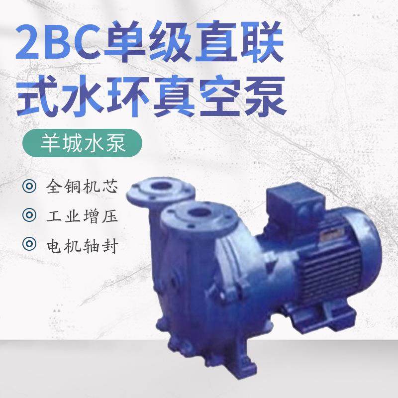 2BC水环式循直真空泵工业高真空水环空铸铁真无品牌/泵联水环真空