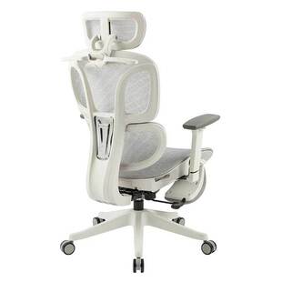 人体工学椅承接工程办公椅电脑椅双背家用舒适午休椅子办公室转椅