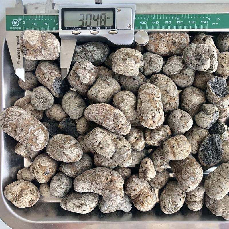 卫生间回填ALM陶粒屋保顶温绿回化车种植地面抬高库顶板填陶粒