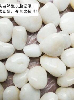 白天然鹅卵石水抛光雨花石培WES色郁金香鱼造景铺缸路阳台装饰风
