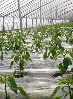 镀锌管温室大棚骨架蔬棚菜大棚花卉种植大q35b镀锌大UXP棚2单体