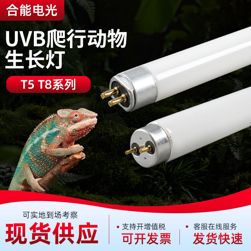 厂家直销UVB灯爬行动物补光灯T5直型灯管荧光灯管