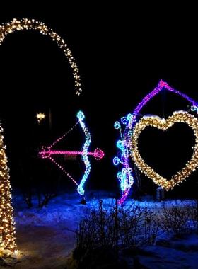 EDL相无品牌/框装饰灯光节造院型户外景观灯装饰灯发光仿真动物庭