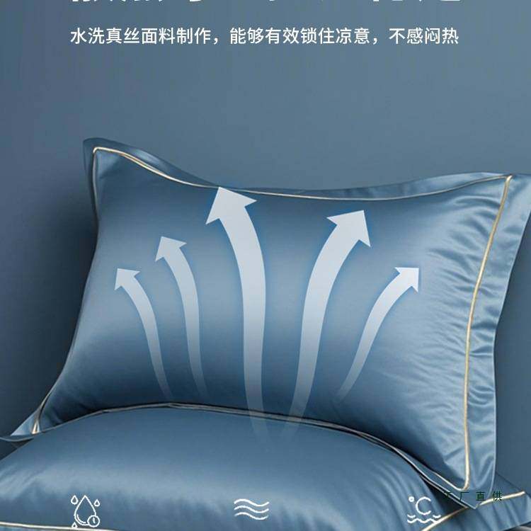 2025新款纯色冰丝枕头套一对装家用单个48cmx74cm枕芯套男通用