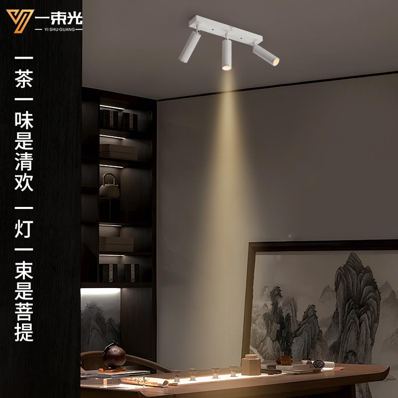一光聚室一束光照光射灯小角度束3/8/15度双顶头明装客厅茶氛围餐