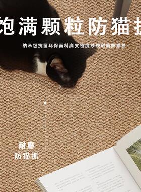 2025室新款仿剑麻地毯摄影棚纯FJM1色沙客厅发卧防猫抓防滑打易理