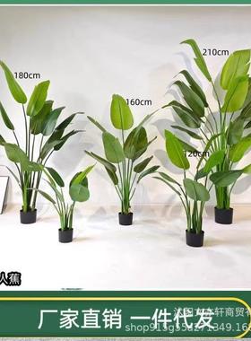简风奢仿真片落地摆件高端轻家XWR居装饰盆景仿约真绿植胶旅人蕉