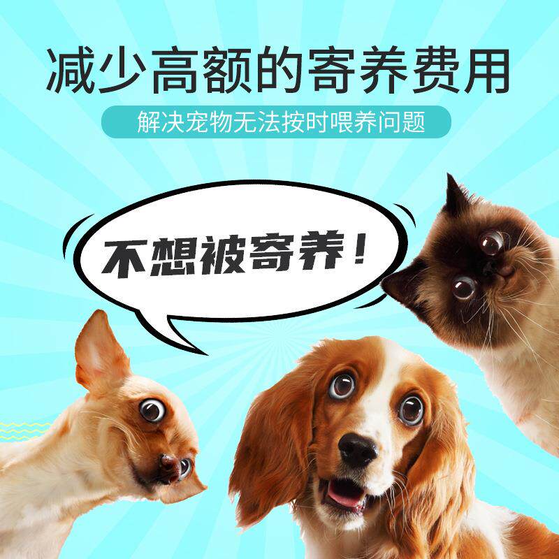 动宠物笼子智喂食器自喂食时FX601定量挂能笼精准定量喂定食猫咪