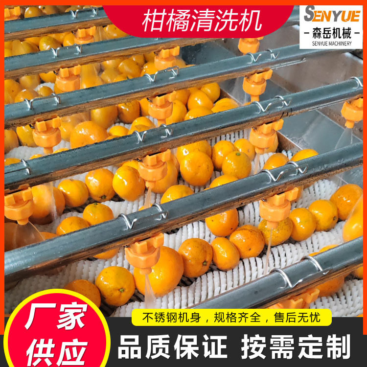 沃柑洗果机打蜡保鲜设备水果全自动洗果机分级机橙子清洗抛光机