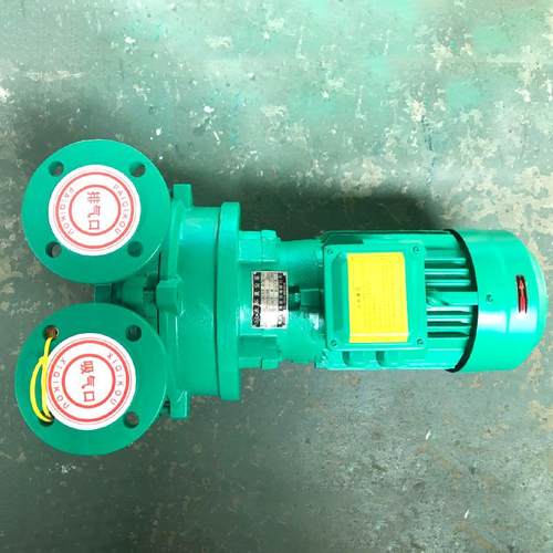 厂家直供水环LSM真空2机061铁挤出微型真泵空泵2BV设备微型铸气泵