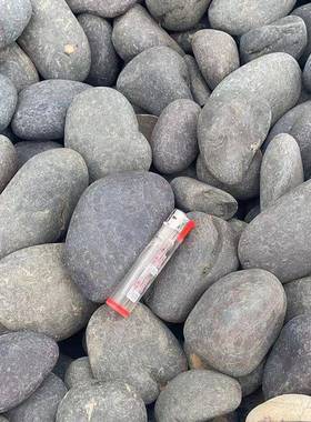 石黑头鹅卵石黑色雨花铺石庭院造景石工程路石小子厂家原WYP石石