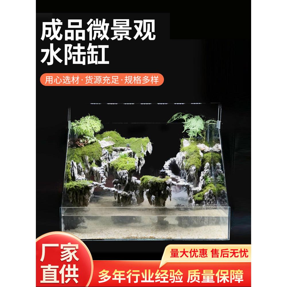 水陆两栖缸烟火造景植物造景雨林缸乌龟景观悬浮景观斜口玻璃缸