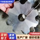 不锈钢链轮齿轮传动轮耐磨防滑工业链轮316耐腐蚀链轮链条传动轮