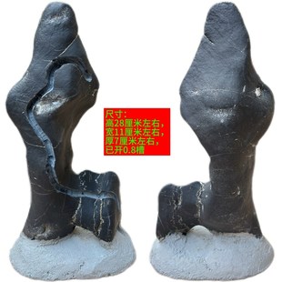 开槽盆景附石瘦高盘龙石树抱石条摆件造型造景观赏天然原石真石头