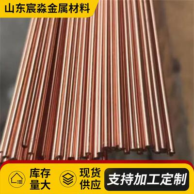 铜T实高心紫铜棒红棒PMB导电导热T2紫铜棒C12100接地电极棒