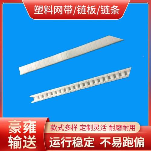 RS60纯PPP销塑料链条RS4PKQD0P链套条RS60P链条配P链轮