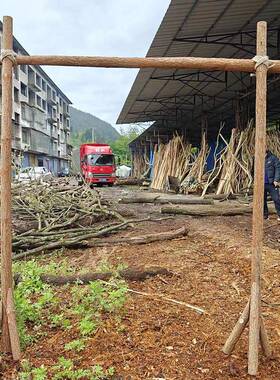 3EW1门森系户外草婚礼拱架架子香F77MM66S杉木桩花门木原木树枝坪