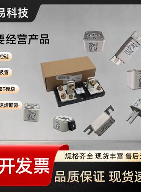 170M5957170M595M8170MZIX59591705960170M596熔断器170M1系列