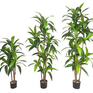 拆装 仿真巴西铁富贵巴橱西木商场窗型落地摆叶件OCH仿真大巴西铁