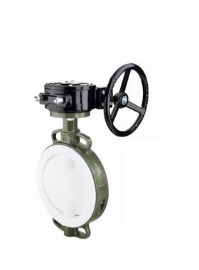 D371F46-16C涡轮衬氟蝶阀质启蝶阀耐酸碱腐蚀衬四氟蝶阀DN40-300