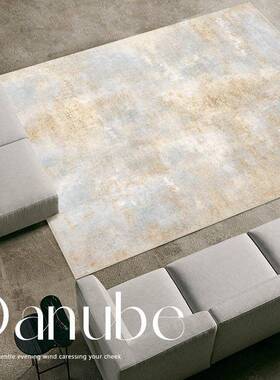 灰色地毯客厅毯卧室客厅抽象轻奢高级整铺2025款复古地毯地垫