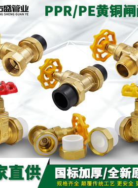 PPR铜闸阀 PPR阀门双头活接铜球截止阀门20 4分PPR水管管件配件