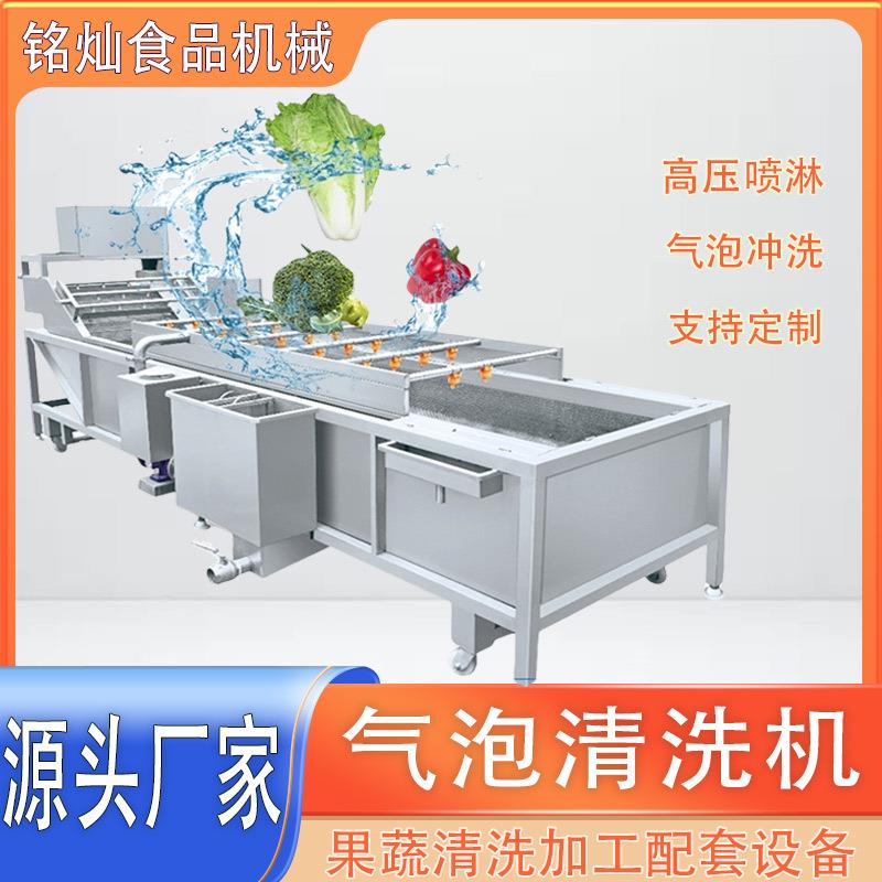 蓝莓清洗风干线 草莓高压去泥清洗设备 桑葚气泡清洗机