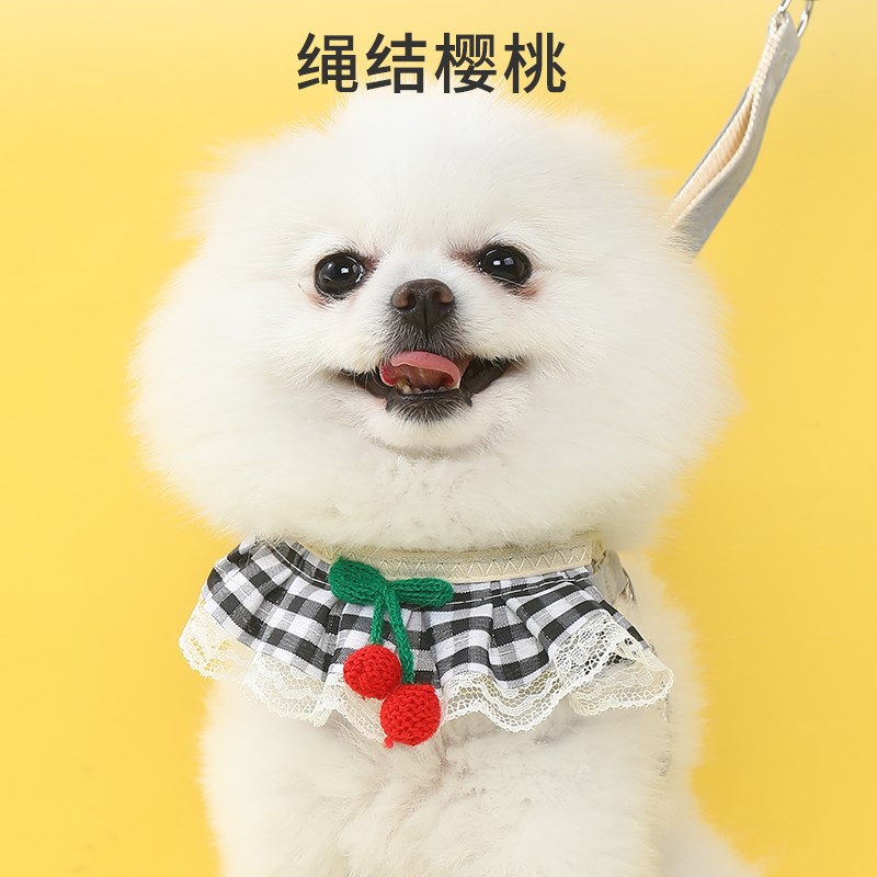 博美狗狗牵引绳蕾丝围脖遛狗绳小型犬胸背带泰迪比熊贵宾小狗链子
